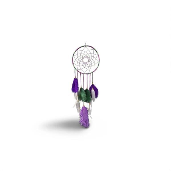 Attrape-Rêve Mauve et Vert "Beetlejuice" – Décoration Mystique et Énergisante