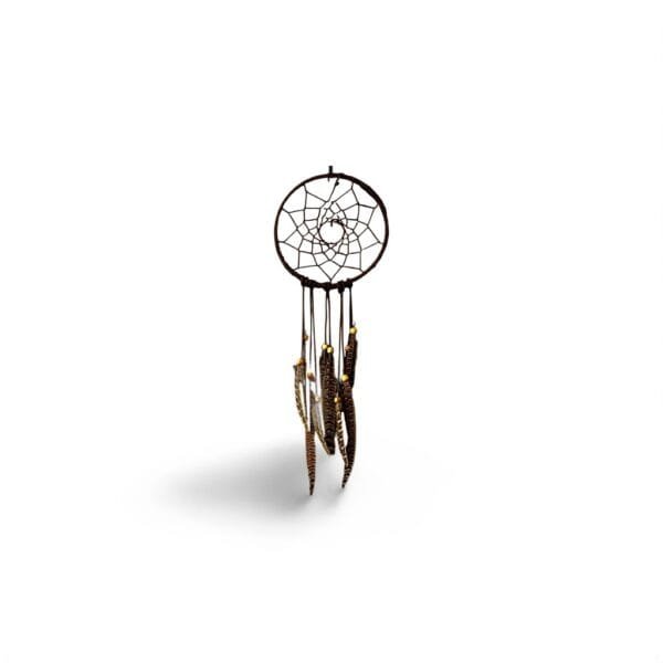 Attrape-rêves marron avec plumes de faisans et perles en bois
