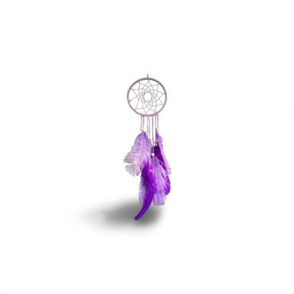 ✨ Attrape-rêves mauve pailleté – Élégance et mystère en plumes de faisan et d’autruche ✨